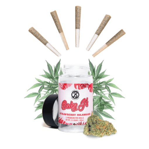 Baby J’s – Watermelon Zkittles